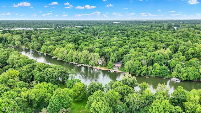 1530 E 75th St, Indianapolis, IN 46240 - bird's eye view of a large body of water and a heavily wooded area