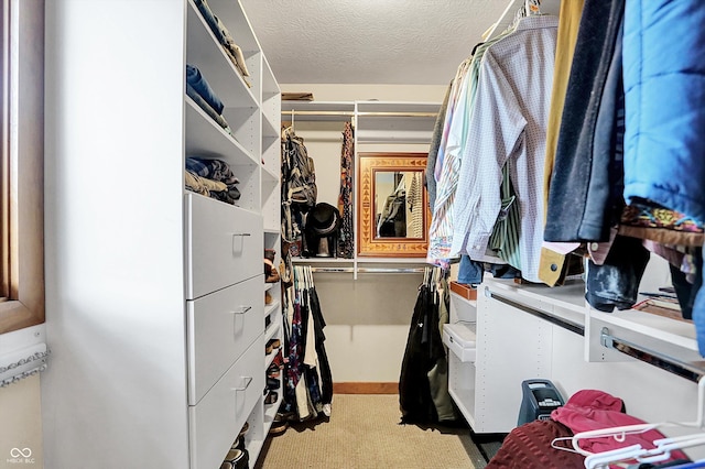 1530 E 75th St, Indianapolis, IN 46240 - walk in closet featuring carpet