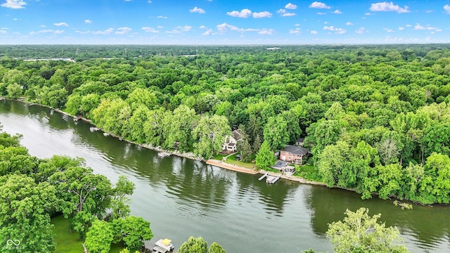 1530 E 75th St, Indianapolis, IN 46240 - bird's eye view of a heavily wooded area and a large body of water