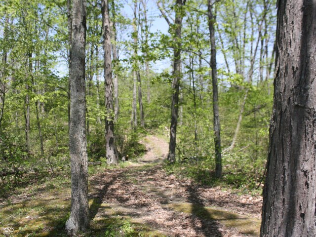4363 E State Road 252, Franklin, IN 46131 - view of local wilderness