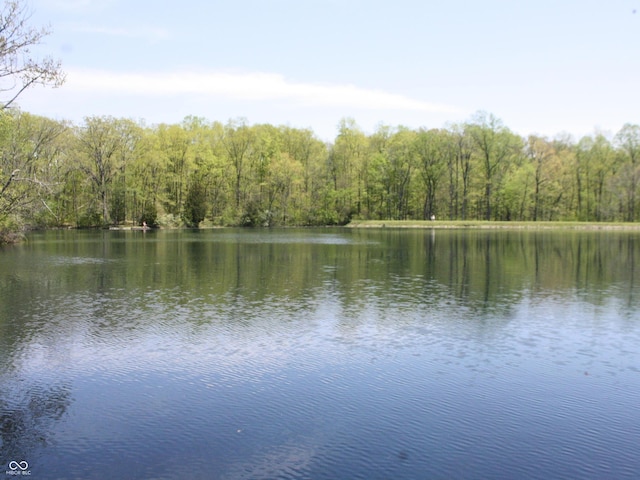 4363 E State Road 252, Franklin, IN 46131 - water view with a heavily wooded area