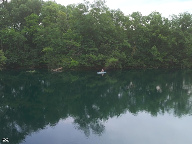 4363 E State Road 252, Franklin, IN 46131 - water view featuring a forest
