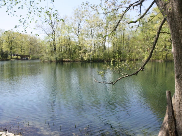 4363 E State Road 252, Franklin, IN 46131 - water view with a forest