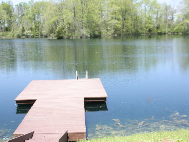 4363 E State Road 252, Franklin, IN 46131 - dock area featuring a water view and a forest view