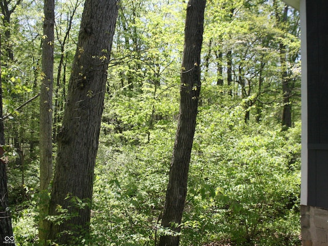4363 E State Road 252, Franklin, IN 46131 - view of tree filled area