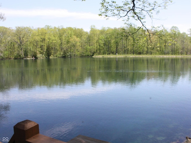 4363 E State Road 252, Franklin, IN 46131 - dock with a view of trees and a water view