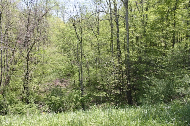 4363 E State Road 252, Franklin, IN 46131 - view of tree filled area