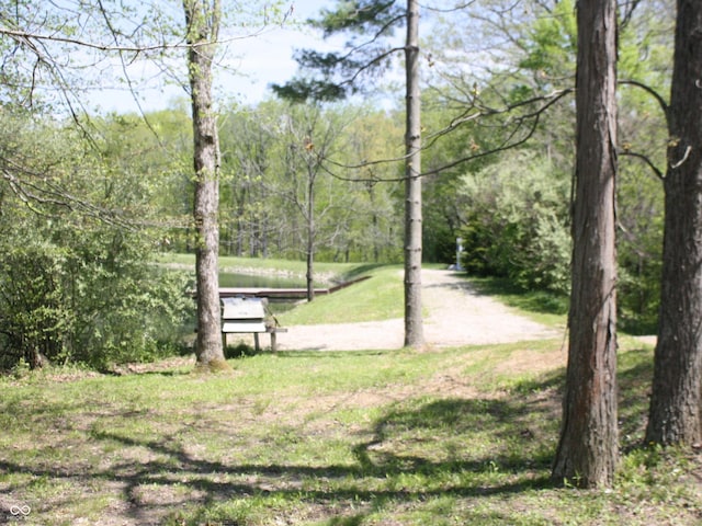4363 E State Road 252, Franklin, IN 46131 - surrounding community with a lawn