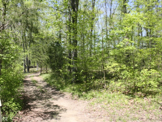 4363 E State Road 252, Franklin, IN 46131 - view of tree filled area