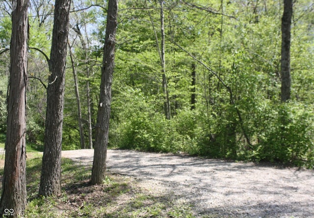 4363 E State Road 252, Franklin, IN 46131 - view of tree filled area