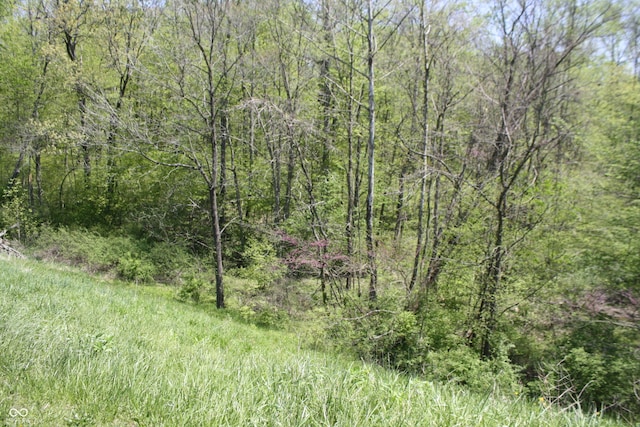 4363 E State Road 252, Franklin, IN 46131 - view of wooded area