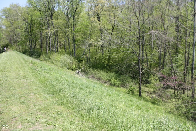 4363 E State Road 252, Franklin, IN 46131 - view of wooded area