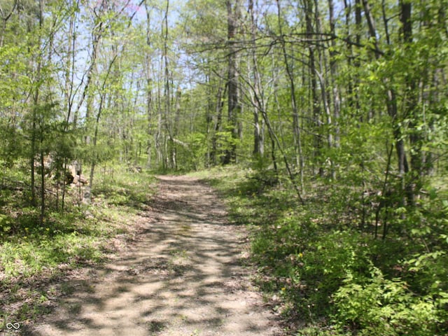 4363 E State Road 252, Franklin, IN 46131 - view of road