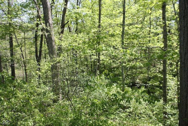 4363 E State Road 252, Franklin, IN 46131 - view of woods