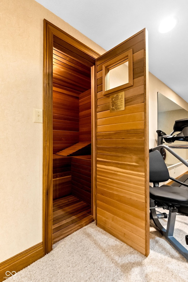 3107 Waterfront Cir, Anderson, IN 46012 - sauna featuring carpet flooring