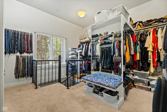 3107 Waterfront Cir, Anderson, IN 46012 - spacious closet featuring carpet