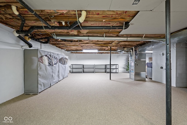 unfinished below grade area featuring carpet floors