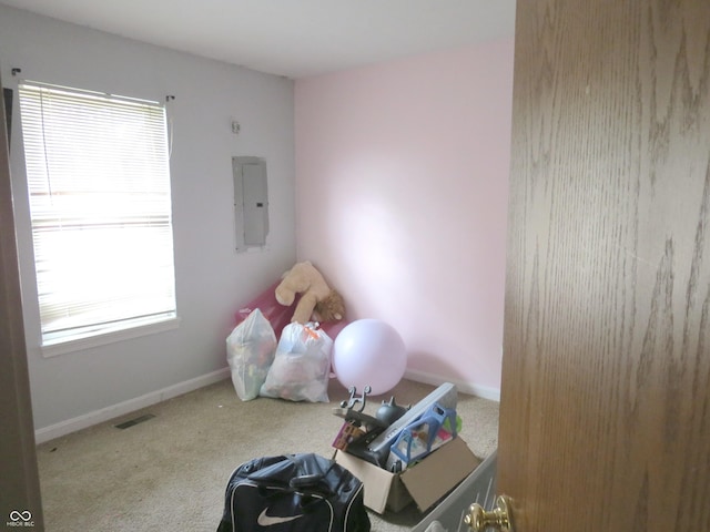 470 N Pine St, Morgantown, IN 46160 - miscellaneous room with electric panel, carpet, and healthy amount of natural light