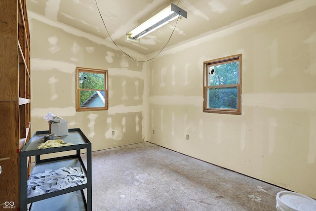 basement with plenty of natural light
