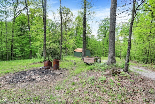 view of yard featuring a storage unit, an outdoor structure, and a wooded view