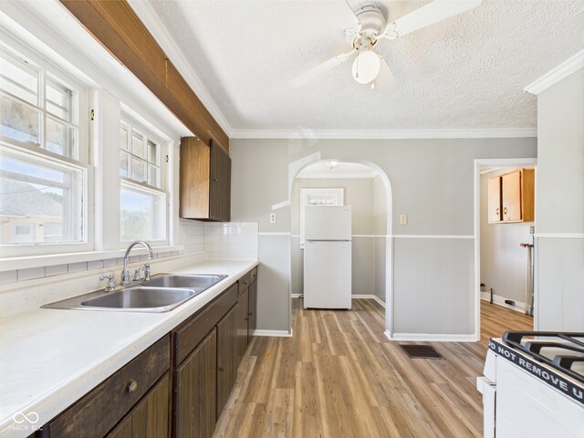 3631 Columbus Ave, Anderson, IN 46013 - kitchen with white appliances, a sink, light wood finished floors, light countertops, and dark brown cabinets