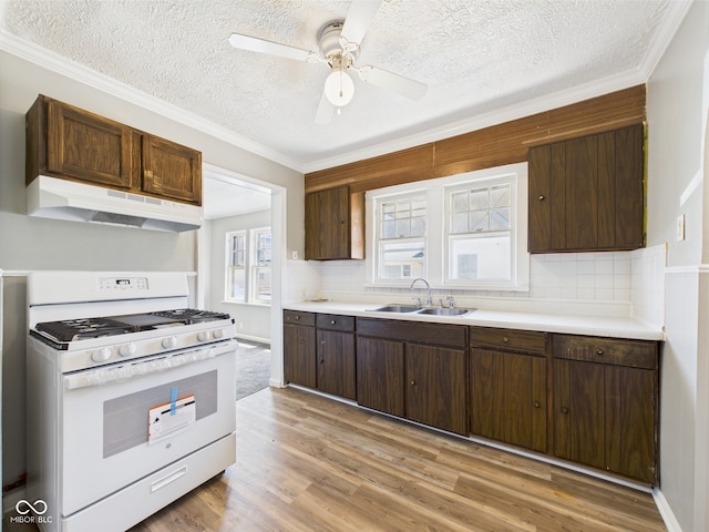 3631 Columbus Ave, Anderson, IN 46013 - kitchen featuring white range with gas cooktop, a sink, under cabinet range hood, a textured ceiling, and ornamental molding