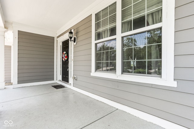 12722 Moonseed Dr, Carmel, IN 46032 - photo 7