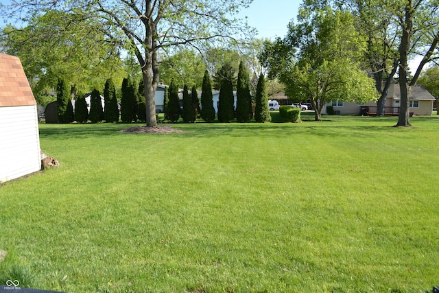 view of grassy yard