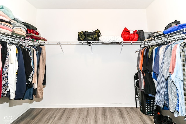 89 Kinnick Dr, Greenwood, IN 46143 - walk in closet featuring wood finished floors