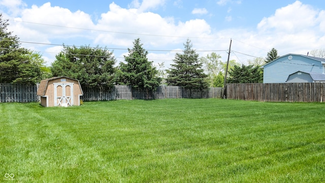 view of yard with a storage shed and an outbuilding