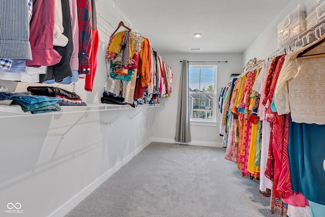 6305 Norwich Dr, Brownsburg, IN 46112 - spacious closet featuring carpet
