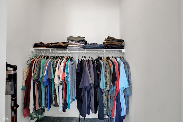 view of spacious closet