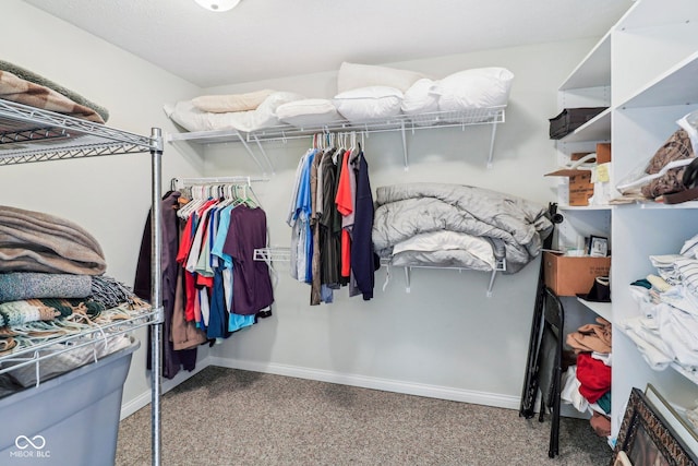 walk in closet featuring carpet