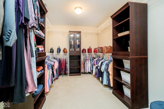 walk in closet featuring carpet floors