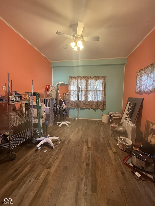 misc room featuring ornamental molding, wood finished floors, and a ceiling fan