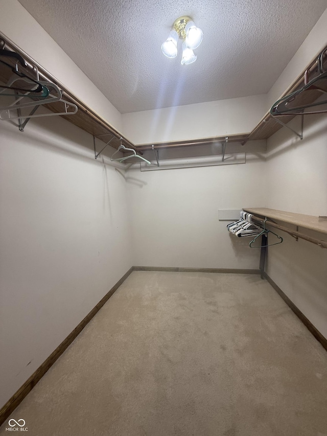 walk in closet featuring light colored carpet