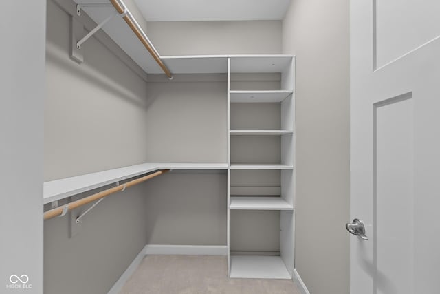 888 Westcreek Dr, Columbus, IN 47201 - walk in closet with carpet flooring