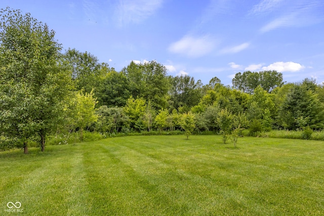 888 Westcreek Dr, Columbus, IN 47201 - view of green lawn