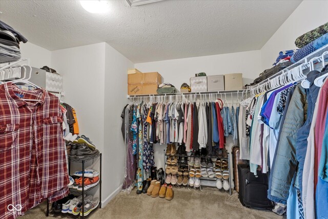 695 Bobtail Dr, Greenfield, IN 46140 - walk in closet with carpet floors