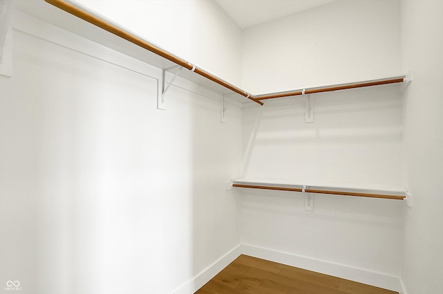 walk in closet featuring wood finished floors