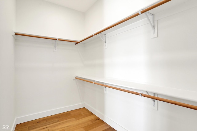 spacious closet featuring light wood-style flooring