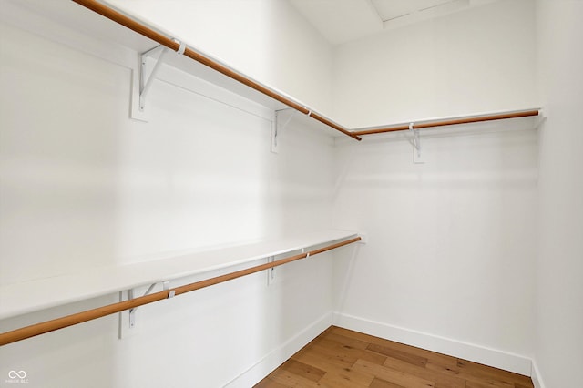 walk in closet featuring light wood finished floors