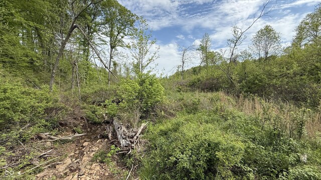 0 State Road 54, Bloomfield, IN 47424