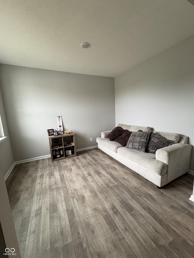 10931 N Longbranch St, Monrovia, IN 46157 - living area with wood finished floors, a textured ceiling, and baseboards
