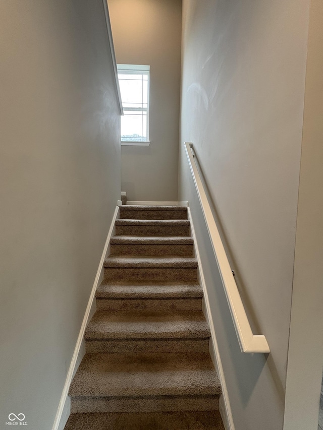 10931 N Longbranch St, Monrovia, IN 46157 - stairs with carpet floors and baseboards