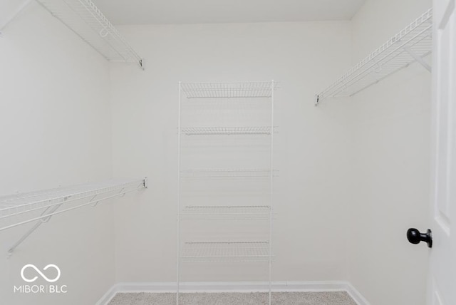 walk in closet with carpet flooring