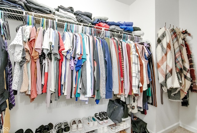 6190 E Ayrshire Cir, Camby, IN 46113 - view of spacious closet
