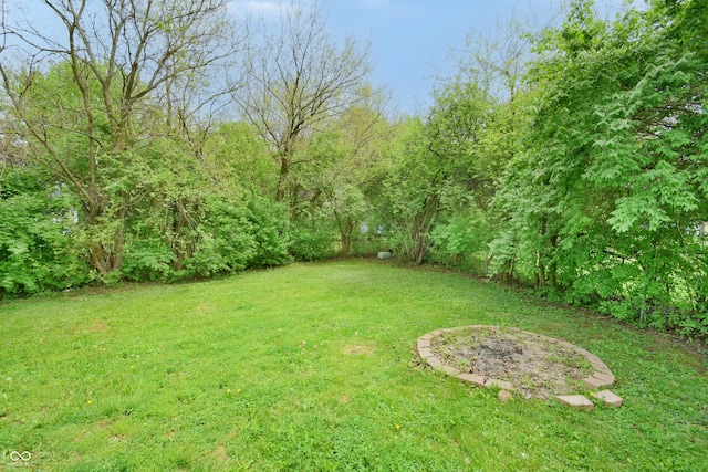 view of green lawn