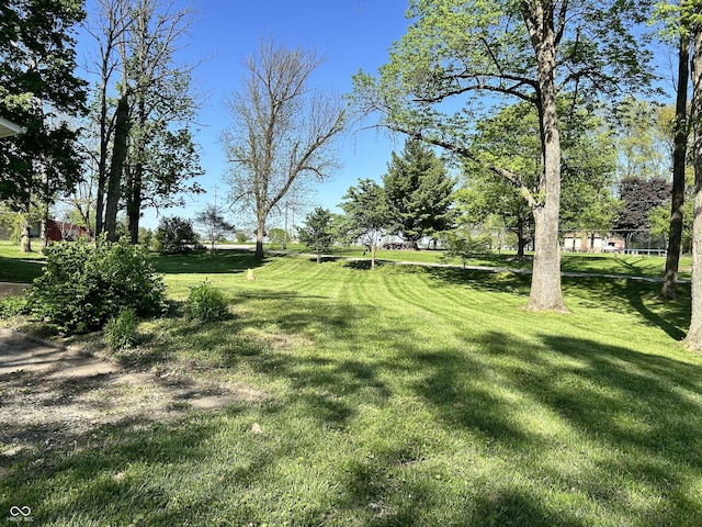 3081 Woodridge Rd, Shelbyville, IN 46176 - view of grassy yard