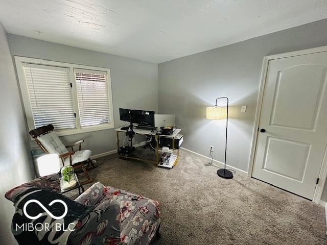 209 Brighton Ct, Greenwood, IN 46143 - carpeted office space with baseboards